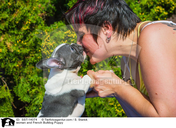 Frau und Franzsische Bulldogge Welpe / woman and French Bulldog Puppy / SST-14074