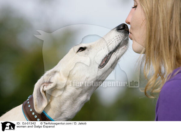 woman and Galgo Espanol / DJ-01342