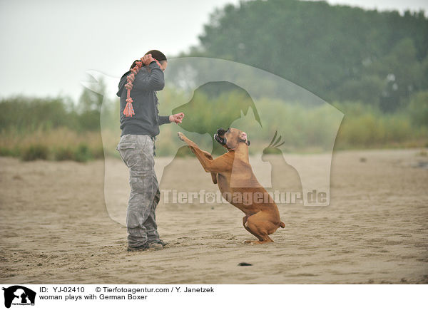 Frau spielt mit Deutschem Boxer / woman plays with German Boxer / YJ-02410