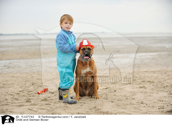 Kind und Deutscher Boxer / Child and German Boxer / YJ-07742