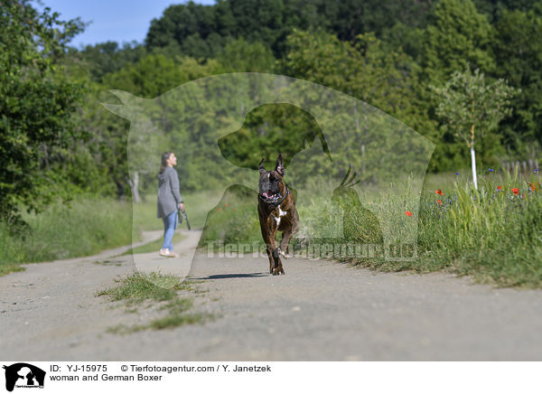 Frau und Deutscher Boxer / woman and German Boxer / YJ-15975