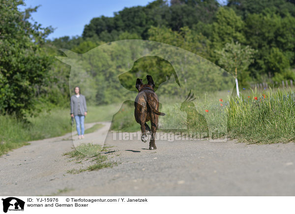 Frau und Deutscher Boxer / woman and German Boxer / YJ-15976