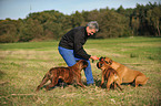 man and 3 German Boxer