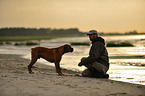 man and German Boxer