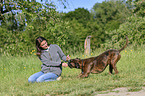 woman and German Boxer