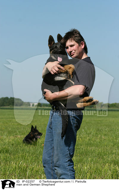 Mann und Deutscher Schferhund / man and German Shepherd / IP-02257