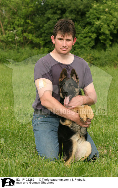 Mann und Deutscher Schferhund / man and German Shepherd / IP-02286