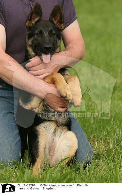 Mann und Deutscher Schferhund / man and German Shepherd / IP-02288