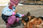 child and German Shepherd