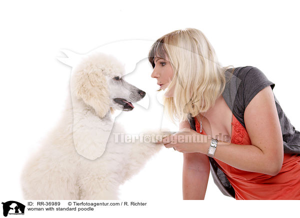 woman with standard poodle / RR-36989