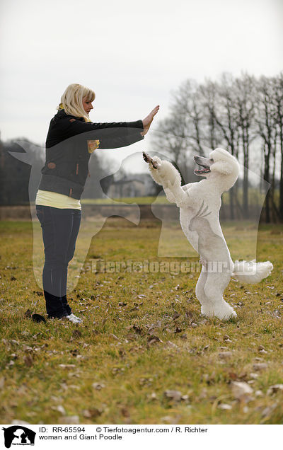 Frau und Gropudel / woman and Giant Poodle / RR-65594