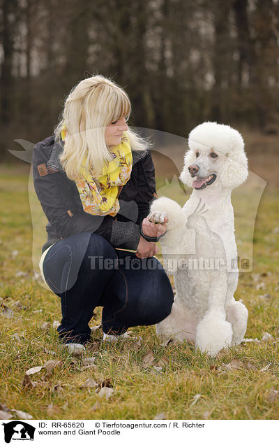 woman and Giant Poodle / RR-65620