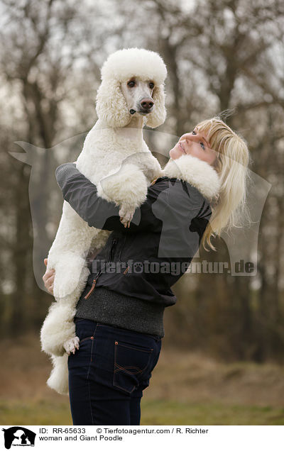 woman and Giant Poodle / RR-65633