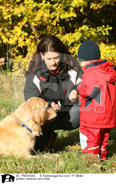 Golden Retriever und Kind / golden retriever and child / PM-04283