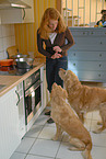 woman and golden retriever