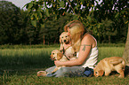 Golden Retriever Puppies