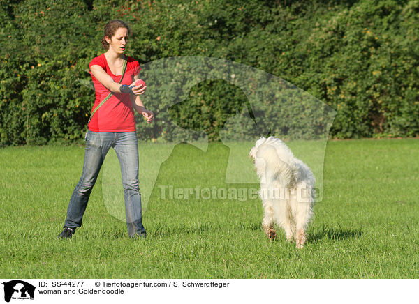 Frau und Goldendoodle / woman and Goldendoodle / SS-44277