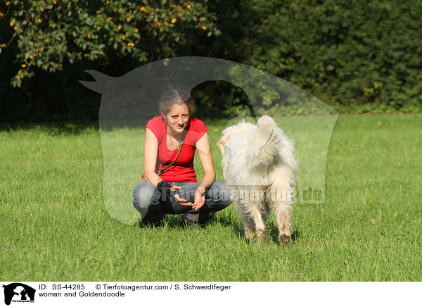 Frau und Goldendoodle / woman and Goldendoodle / SS-44285