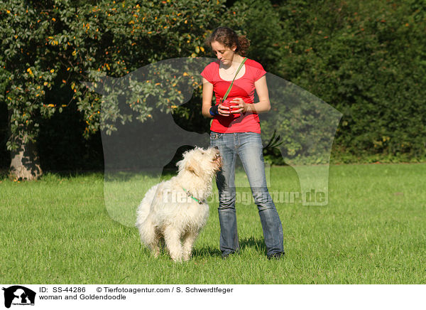 Frau und Goldendoodle / woman and Goldendoodle / SS-44286