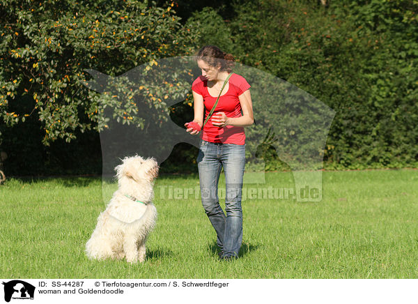 Frau und Goldendoodle / woman and Goldendoodle / SS-44287