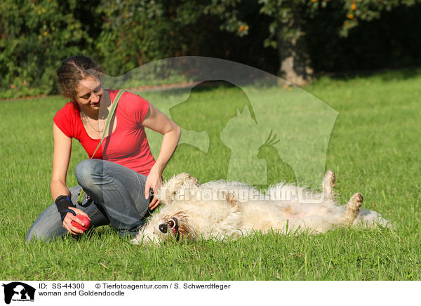 Frau und Goldendoodle / woman and Goldendoodle / SS-44300