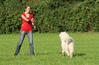 woman and Goldendoodle