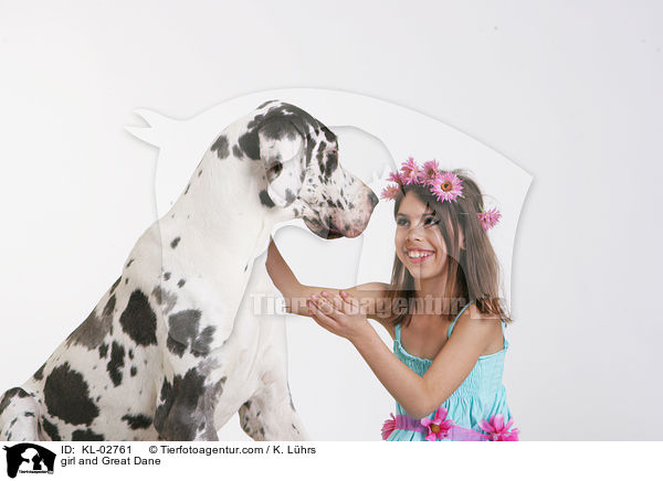 Mdchen und Deutsche Dogge / girl and Great Dane / KL-02761