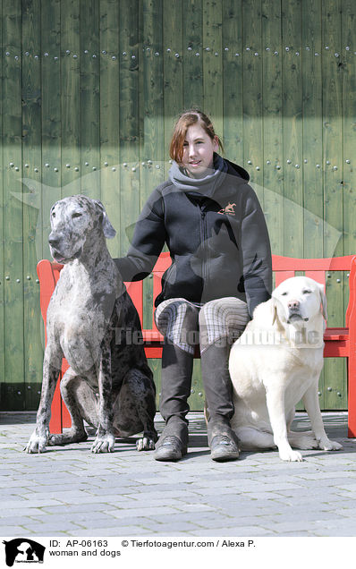 Frau mit Hunden / woman and dogs / AP-06163