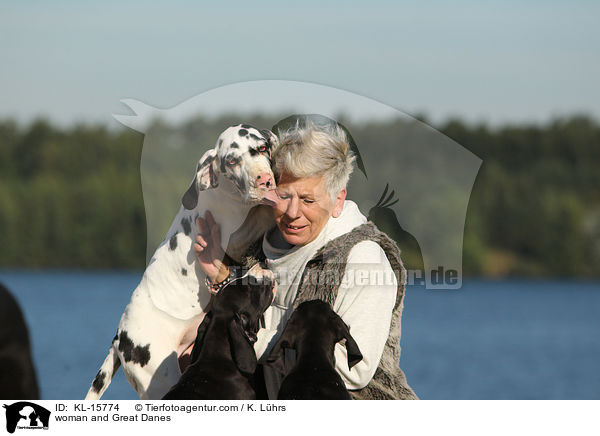 Frau und Deutsche Doggen / woman and Great Danes / KL-15774