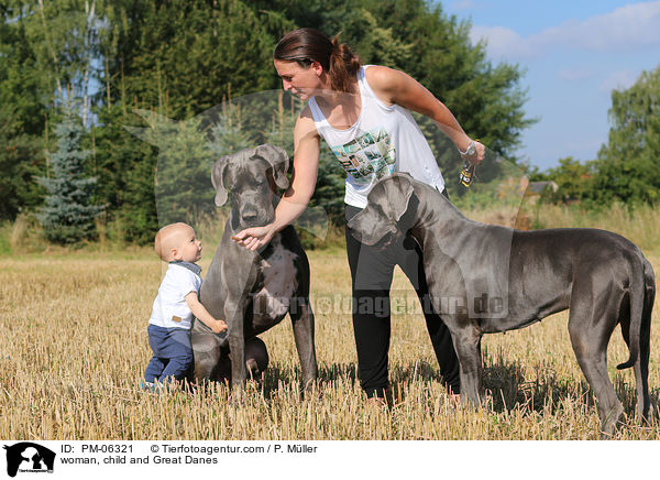 Frau, Kind und Deutsche Doggen / woman, child and Great Danes / PM-06321