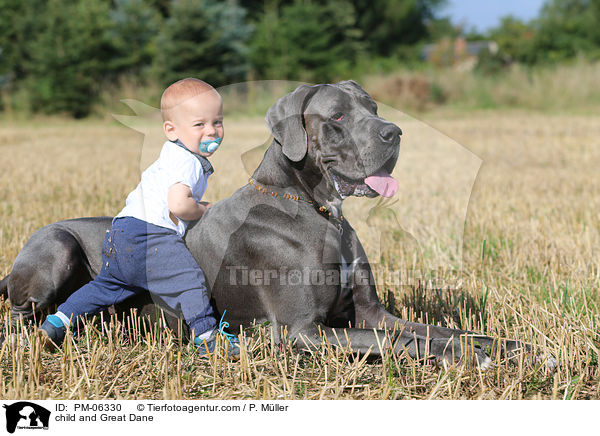 Kind und Deutsche Dogge / child and Great Dane / PM-06330