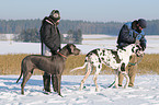 people with Great Danes