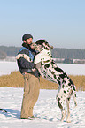 man with Great Dane