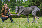 Great Dane gives paw