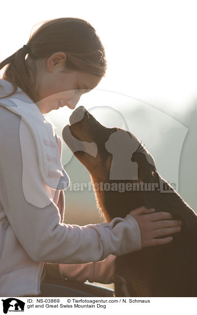 Mdchen und Groer Schweizer Sennenhund / girl and Great Swiss Mountain Dog / NS-03869