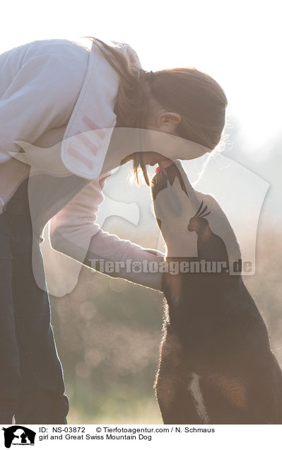 Mdchen und Groer Schweizer Sennenhund / girl and Great Swiss Mountain Dog / NS-03872