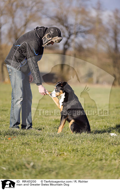 Mann und Groer Schweizer Sennenhund / man and Greater Swiss Mountain Dog / RR-65200