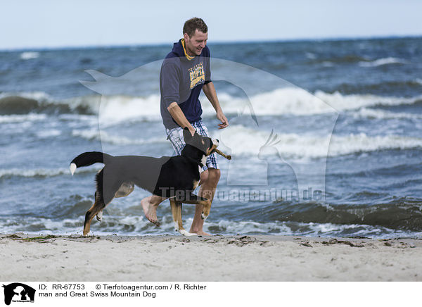 Mann und Groer Schweizer Sennenhund / man and Great Swiss Mountain Dog / RR-67753