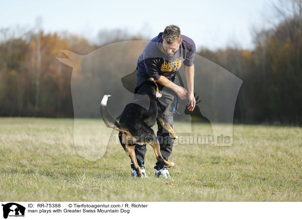 Mann spielt mit Groem Schweizer Sennenhund / man plays with Greater Swiss Mountain Dog / RR-75388