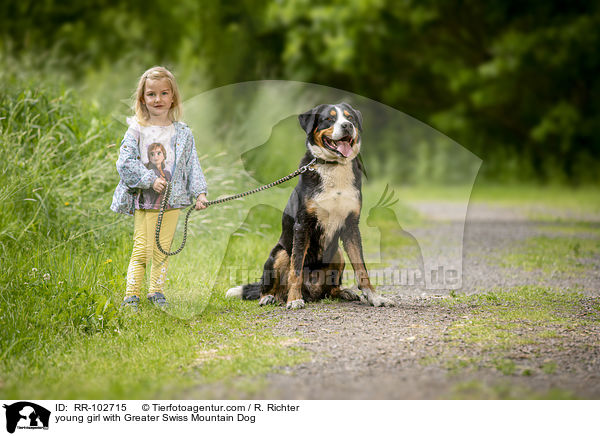 junges Mdchen mit Groem Schweizer Sennenhund / young girl with Greater Swiss Mountain Dog / RR-102715