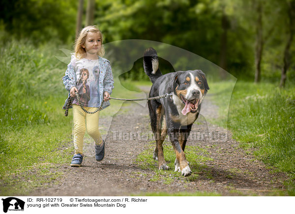 junges Mdchen mit Groem Schweizer Sennenhund / young girl with Greater Swiss Mountain Dog / RR-102719
