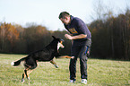 man plays with Greater Swiss Mountain Dog