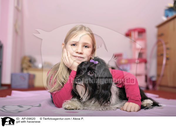 Mdchen mit Havaneser / girl with havanese / AP-09620