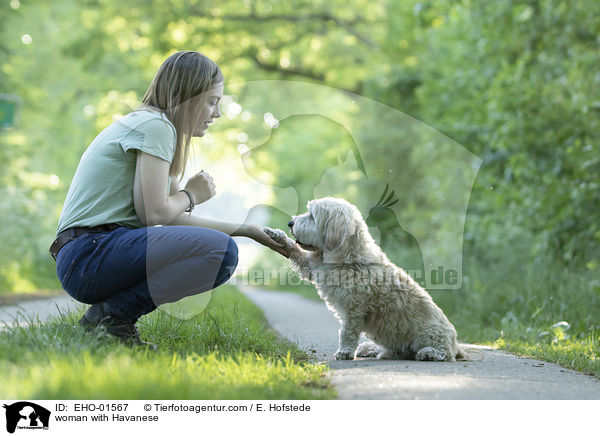 Frau mit Havaneser / woman with Havanese / EHO-01567