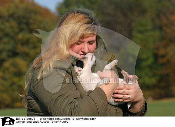 Frau und Parson Russell Terrier Welpe / woman and Parson Russell Terrier Puppy / SS-20503