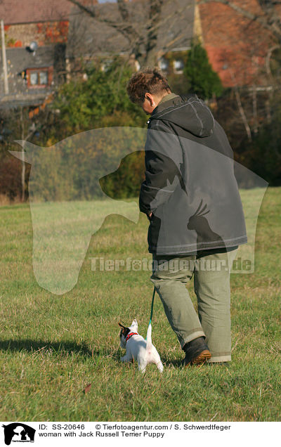 Frau mit Parson Russell Terrier Welpe / woman with Parson Russell Terrier Puppy / SS-20646