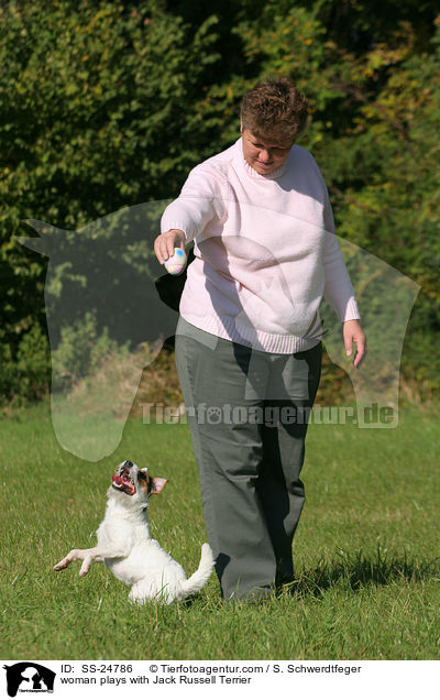 Frau spielt mit Parson Russell Terrier / woman plays with Parson Russell Terrier / SS-24786