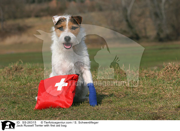 Parson Russell Terrier mit Erste-Hilfe-Tasche / Parson Russell Terrier with first aid bag / SS-26315