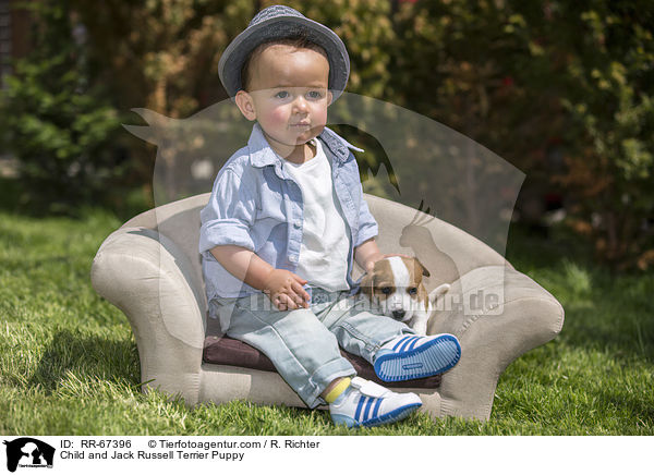 Kind und Jack Russell Terrier Welpe / Child and Jack Russell Terrier Puppy / RR-67396