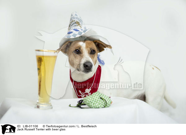 Jack Russell Terrier mit Bierglas / Jack Russell Terrier with beer glas / LIB-01106